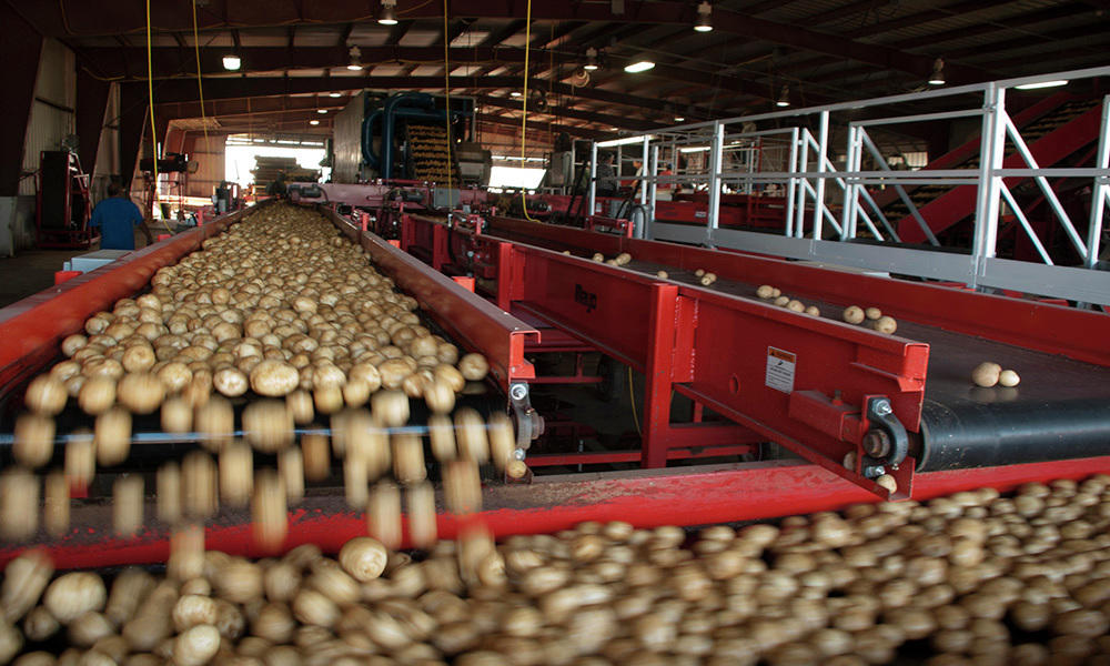 Interior of an agribusiness manufacturing facility